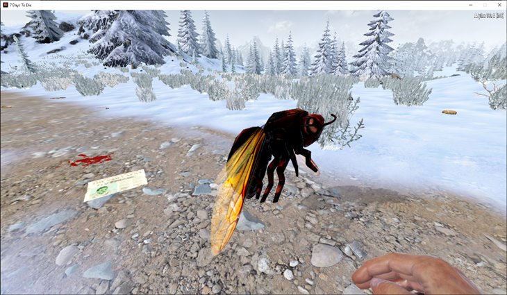 Return of the Hornet