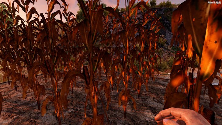 Crop Growth by Weather