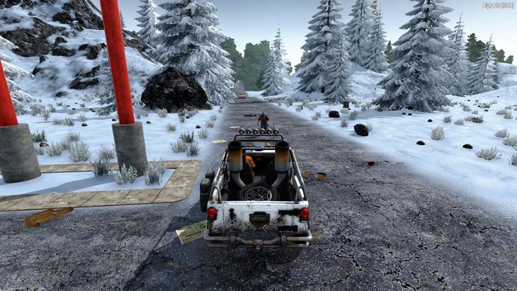 Vehicle Damage Patch