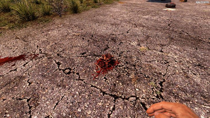 Sam's Karmah Remains