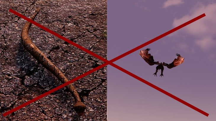 No Snakes or Vultures