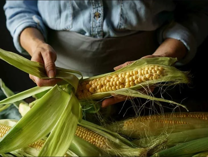 Plant Fibers From Corn/Yucca/Super Corn