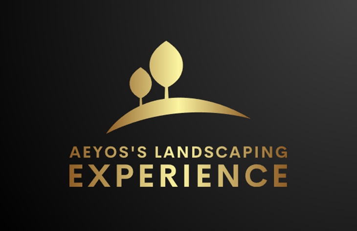Aeyos's Landscaping Experience