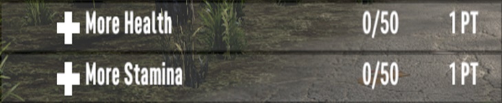 Health and Stamina Mod