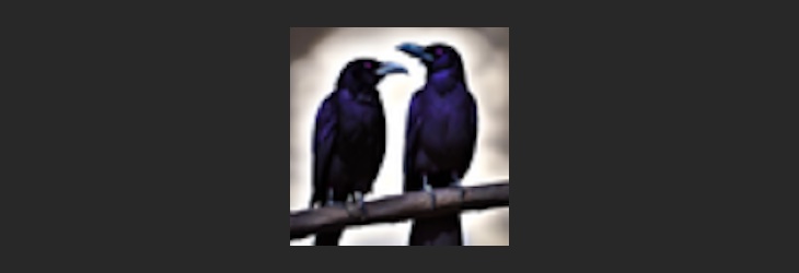 Tam's Needful Things