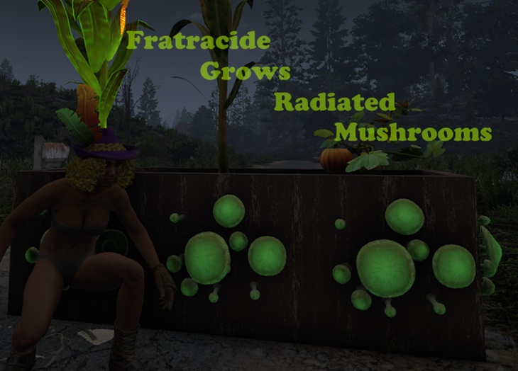 V2-Fratracide Grows Radiated Mushrooms