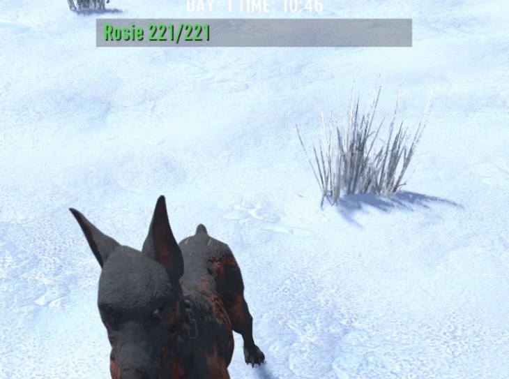 Random Animal Names - V2.5 b23