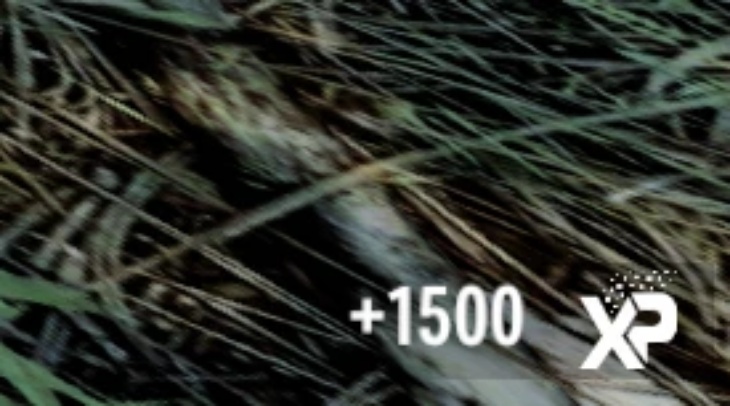 Remove Trader XP - V2.5 b23